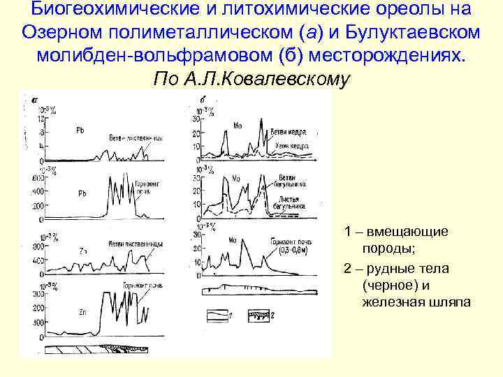 Биогеохимические и литохимические ореолы на Озерном полиметаллическом (а) и Булуктаевском молибден-вольфрамовом (б) месторождениях. По