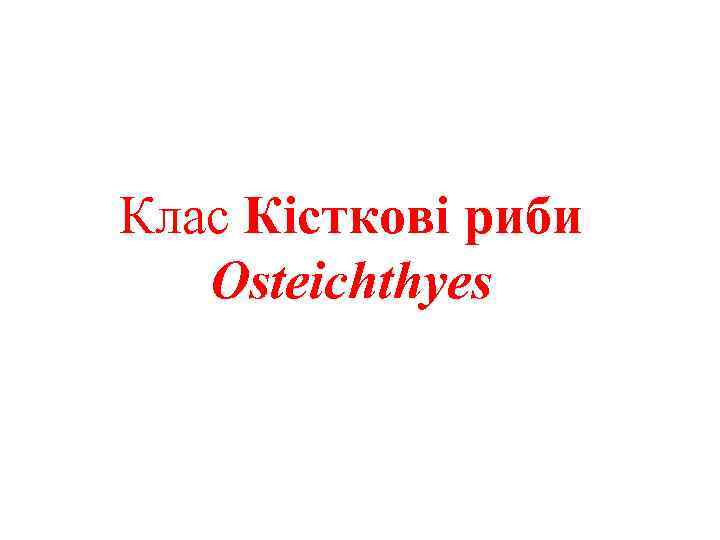 Клас Кісткові риби Osteichthyes 