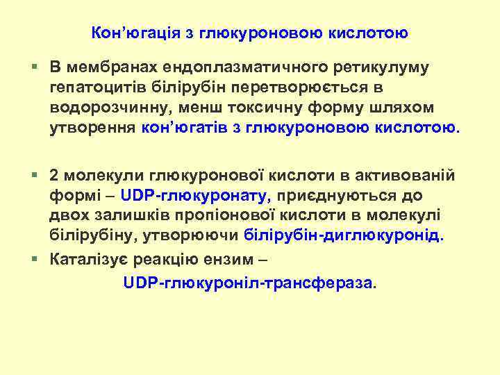 Кон’югація з глюкуроновою кислотою § В мембранах ендоплазматичного ретикулуму гепатоцитів білірубін перетворюється в водорозчинну,