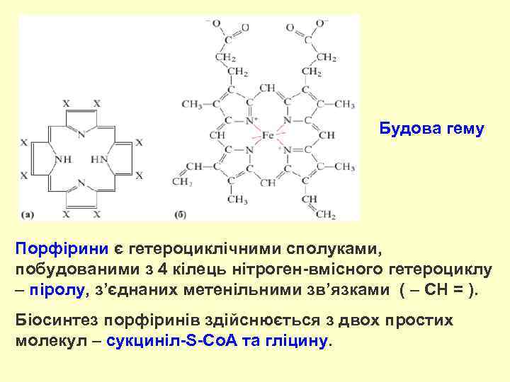 Будова гему Порфірини є гетероциклічними сполуками, побудованими з 4 кілець нітроген-вмісного гетероциклу – піролу,