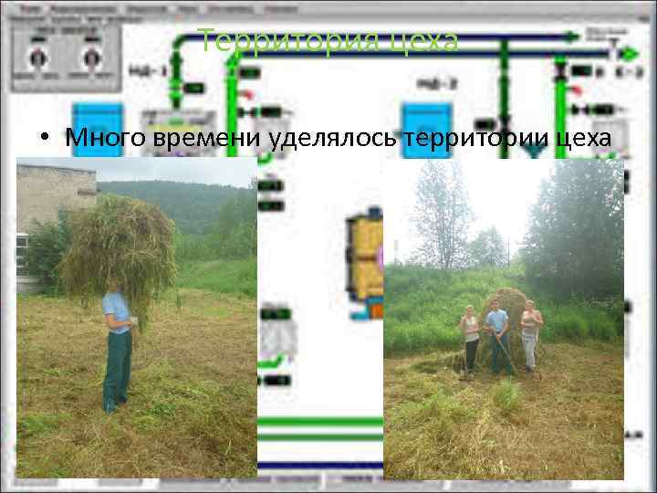 Территория цеха • Много времени уделялось территории цеха 