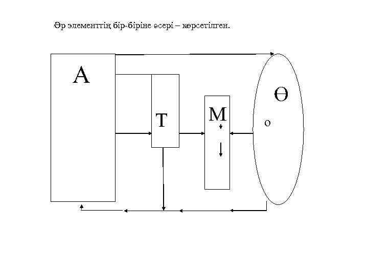 Әр элементтің бір-біріне әсері – көрсетілген. А Т М Ө о 