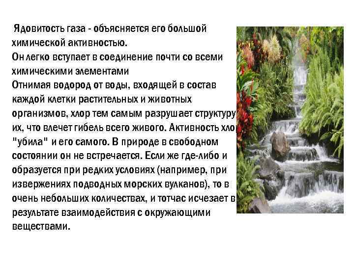  Ядовитость газа - объясняется его большой химической активностью. Он легко вступает в соединение