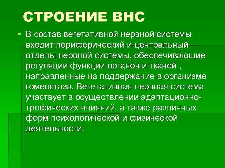 СТРОЕНИЕ ВНС § В состав вегетативной нервной системы входит периферический и центральный отделы нервной