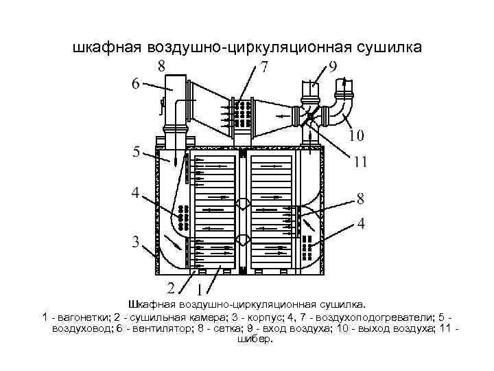 шкафная воздушно-циркуляционная сушилка Шкафная воздушно-циркуляционная сушилка. 1 - вагонетки; 2 - сушильная камера; 3