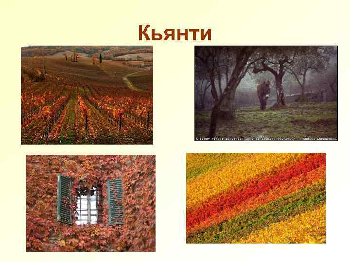 Кьянти 