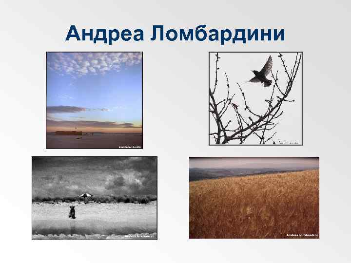 Андреа Ломбардини 