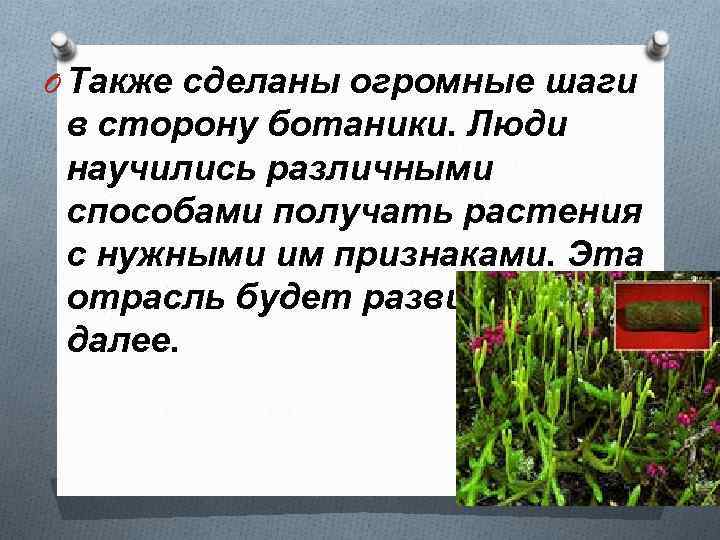 O Также сделаны огромные шаги в сторону ботаники. Люди научились различными способами получать растения