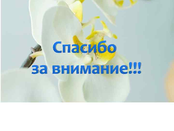 Спасибо за внимание!!! 
