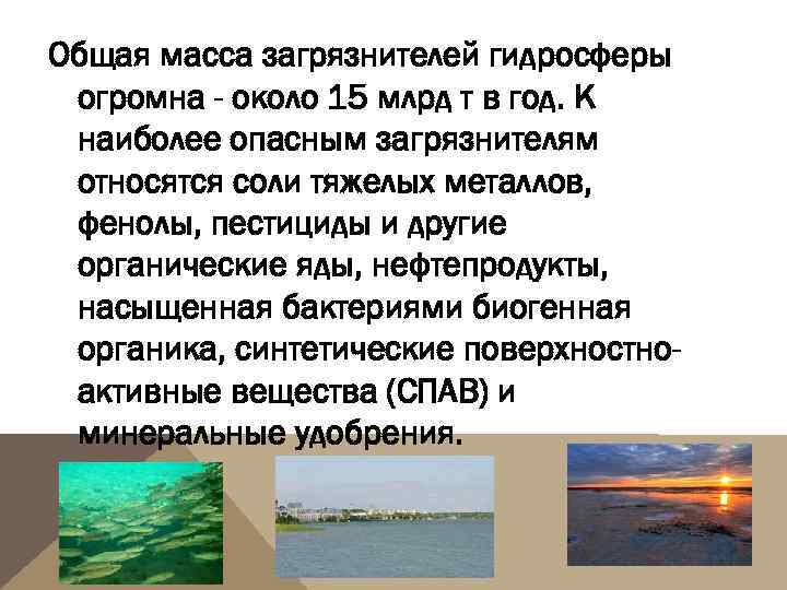 Общая масса загрязнителей гидросферы огромна - около 15 млрд т в год. К наиболее