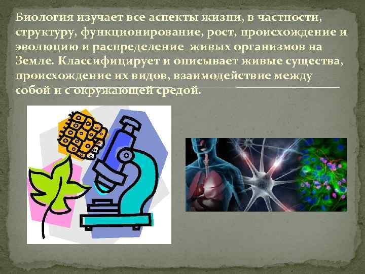 Биология изучает все аспекты жизни, в частности, структуру, функционирование, рост, происхождение и эволюцию и