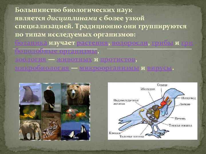 Большинство биологических наук является дисциплинами с более узкой специализацией. Традиционно они группируются по типам