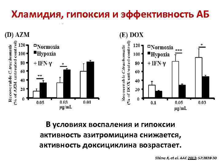 Хламидия, гипоксия и эффективность АБ В условиях воспаления и гипоксии активность азитромицина снижается, активность