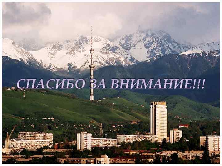 СПАСИБО ЗА ВНИМАНИЕ!!! 