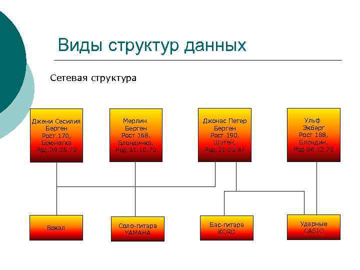 Виды структур данных Сетевая структура Джени Сесилия Берген Рост 170, Брюнетка Род. 29. 05.