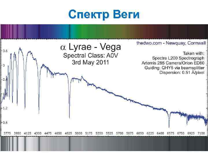 Спектр Веги 