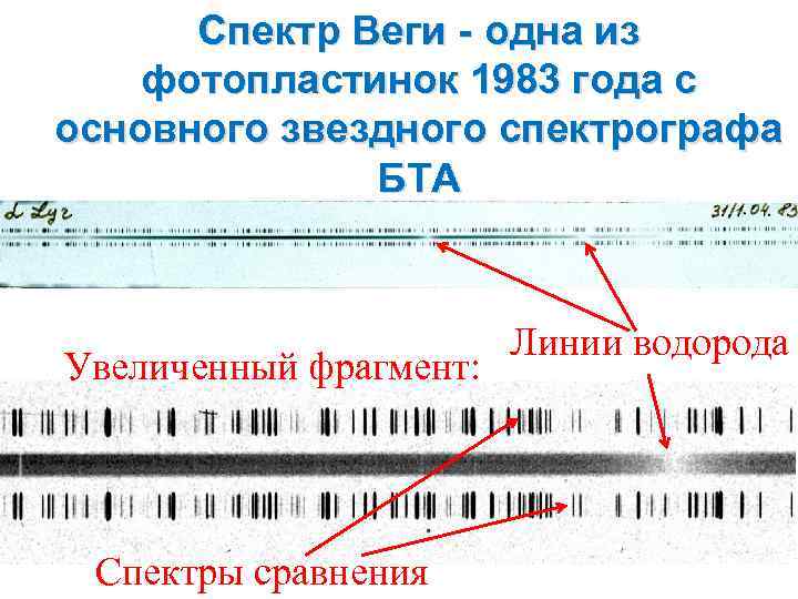 Спектр Веги - одна из фотопластинок 1983 года с основного звездного спектрографа БТА Увеличенный
