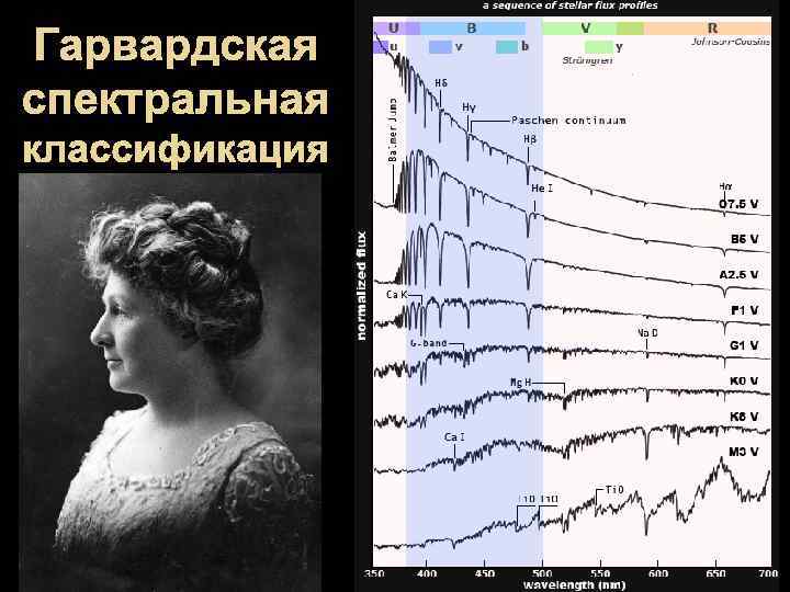 Гарвардская спектральная классификация 