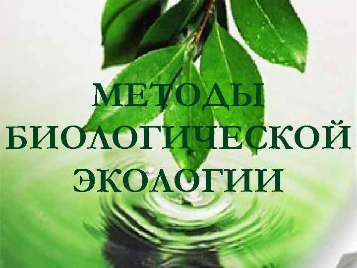 МЕТОДЫ БИОЛОГИЧЕСКОЙ ЭКОЛОГИИ 