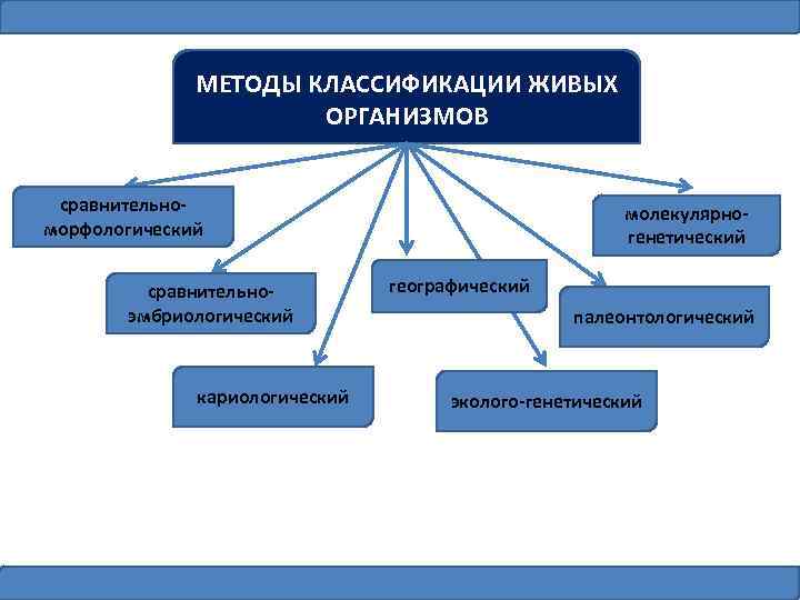 МЕТОДЫ КЛАССИФИКАЦИИ ЖИВЫХ ОРГАНИЗМОВ сравнительноморфологический сравнительноэмбриологический кариологический молекулярногенетический географический палеонтологический эколого-генетический 