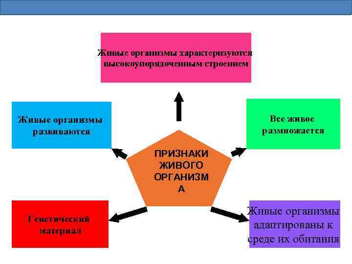 Живые организмы характеризуются высокоупорядоченным строением Все живое размножается Живые организмы развиваются ПРИЗНАКИ ЖИВОГО ОРГАНИЗМ