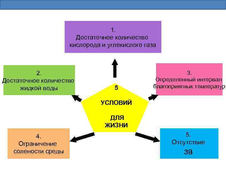 1. Достаточное количество кислорода и углекислого газа 2. Достаточное количество жидкой воды 5 3.