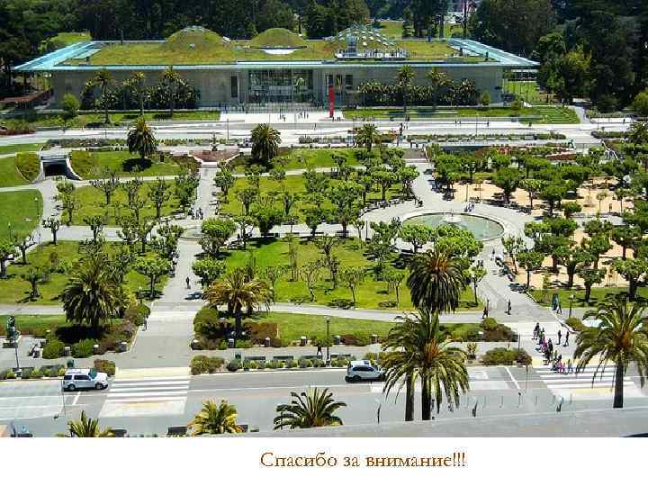 Спасибо за внимание!!! 