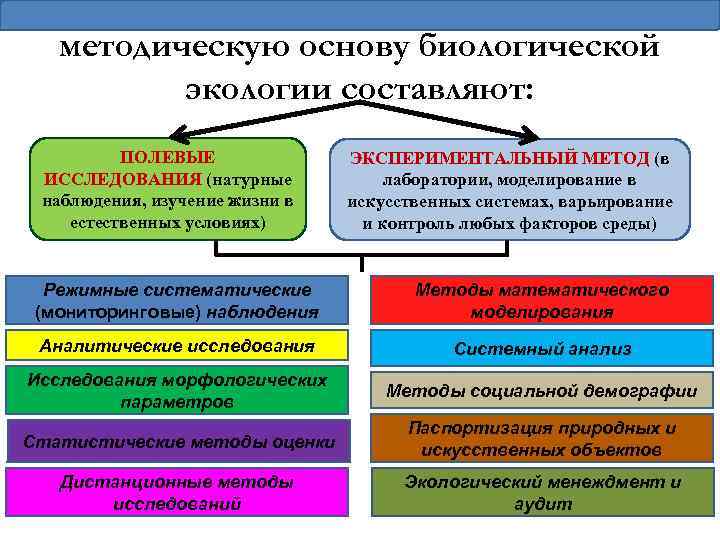 методическую основу биологической экологии составляют: ПОЛЕВЫЕ ИССЛЕДОВАНИЯ (натурные наблюдения, изучение жизни в естественных условиях)