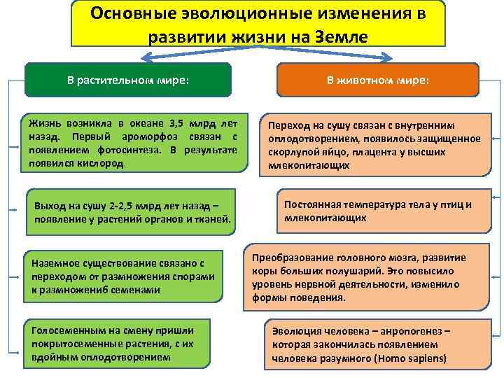 Основные эволюционные изменения в развитии жизни на Земле В растительном мире: Жизнь возникла в