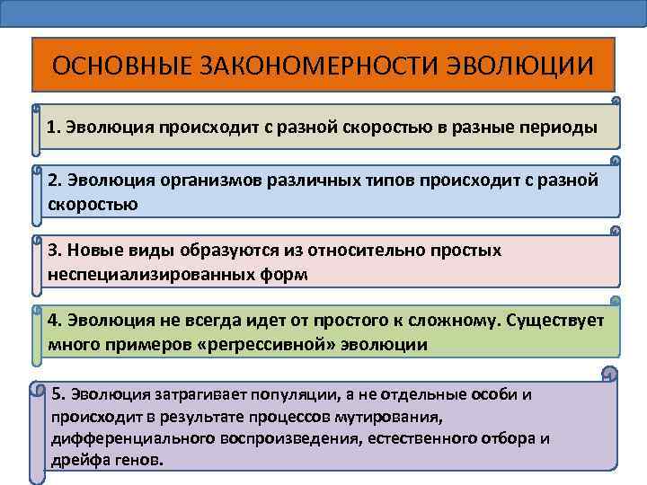 ОСНОВНЫЕ ЗАКОНОМЕРНОСТИ ЭВОЛЮЦИИ 1. Эволюция происходит с разной скоростью в разные периоды 2. Эволюция