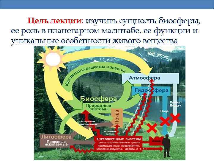 Цель лекции: изучить сущность биосферы, ее роль в планетарном масштабе, ее функции и уникальные