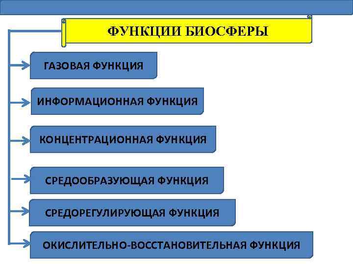 ФУНКЦИИ БИОСФЕРЫ ГАЗОВАЯ ФУНКЦИЯ ИНФОРМАЦИОННАЯ ФУНКЦИЯ КОНЦЕНТРАЦИОННАЯ ФУНКЦИЯ СРЕДООБРАЗУЮЩАЯ ФУНКЦИЯ СРЕДОРЕГУЛИРУЮЩАЯ ФУНКЦИЯ ОКИСЛИТЕЛЬНО-ВОССТАНОВИТЕЛЬНАЯ ФУНКЦИЯ