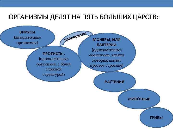 ОРГАНИЗМЫ ДЕЛЯТ НА ПЯТЬ БОЛЬШИХ ЦАРСТВ: ВИРУСЫ (внеклеточные организмы) ты ио окар пр ПРОТИСТЫ,