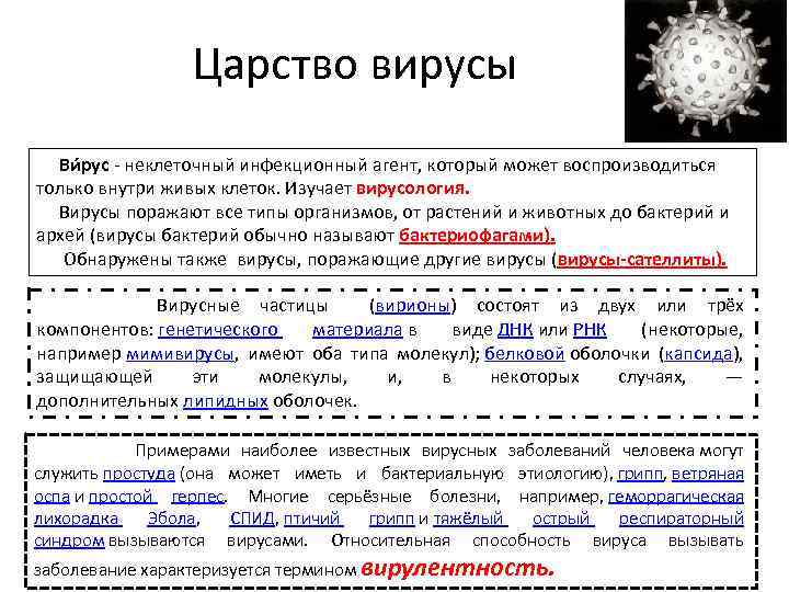 Царство вирусы Ви рус - неклеточный инфекционный агент, который может воспроизводиться только внутри живых