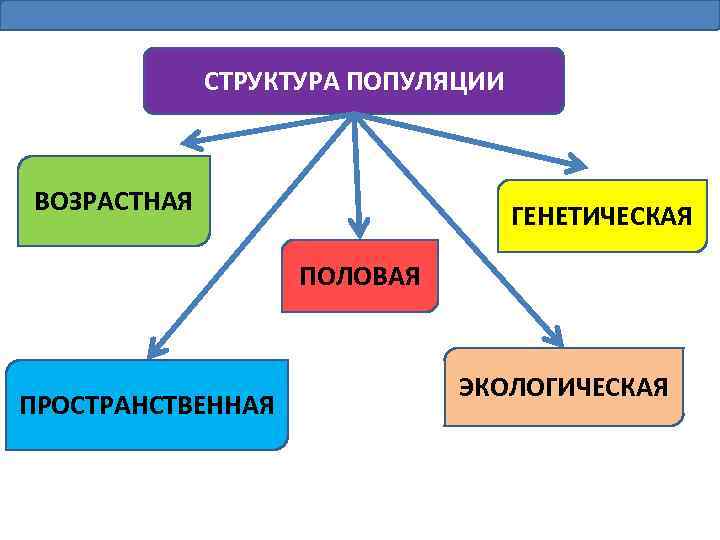 СТРУКТУРА ПОПУЛЯЦИИ ВОЗРАСТНАЯ ГЕНЕТИЧЕСКАЯ ПОЛОВАЯ ПРОСТРАНСТВЕННАЯ ЭКОЛОГИЧЕСКАЯ 