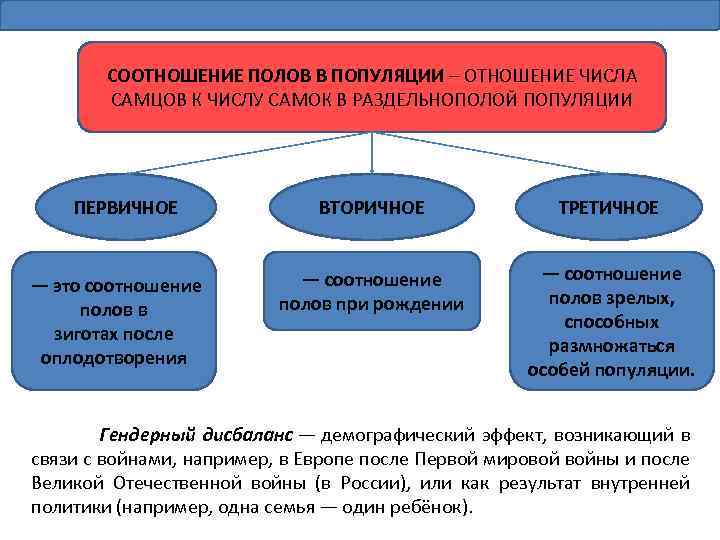 СООТНОШЕНИЕ ПОЛОВ В ПОПУЛЯЦИИ – ОТНОШЕНИЕ ЧИСЛА САМЦОВ К ЧИСЛУ САМОК В РАЗДЕЛЬНОПОЛОЙ ПОПУЛЯЦИИ