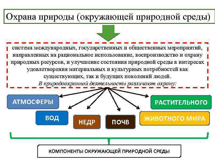 Охрана природы (окружающей природной среды) система международных, государственных и общественных мероприятий, направленных на рациональное