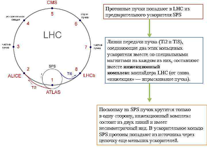 Протонные пучки попадают в LHC из предварительного ускорителя SPS Линии передачи пучка (Tl 2