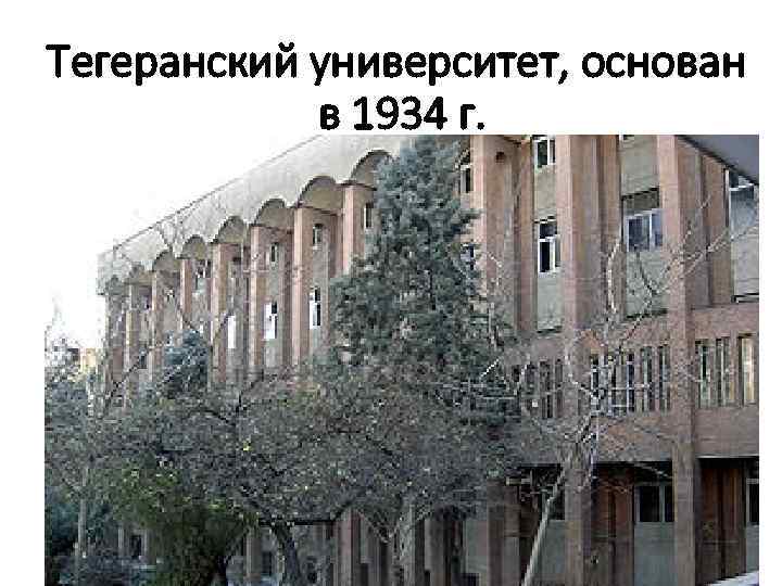 Тегеранский университет, основан в 1934 г. 