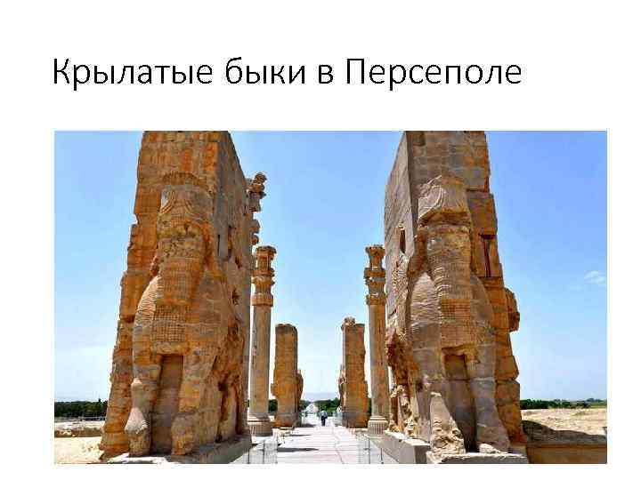 Крылатые быки в Персеполе 