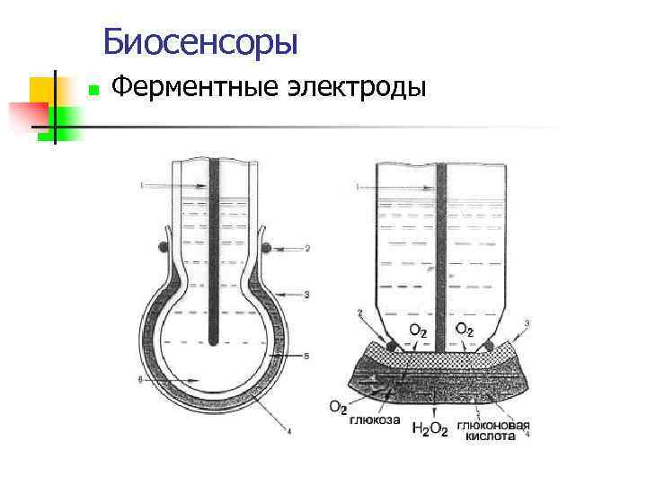 Биосенсоры n Ферментные электроды 