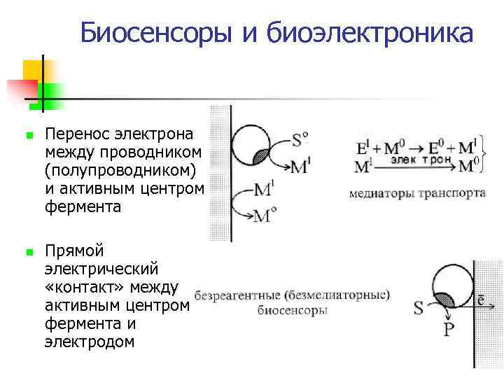 Биосенсоры и биоэлектроника n n Перенос электрона между проводником (полупроводником) и активным центром фермента