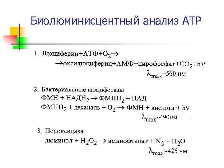 Биолюминисцентный анализ АТР 