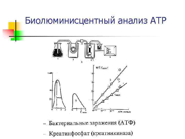 Биолюминисцентный анализ АТР 