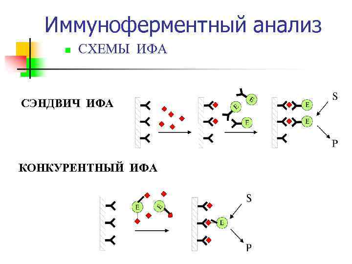 Схема ифа микробиология