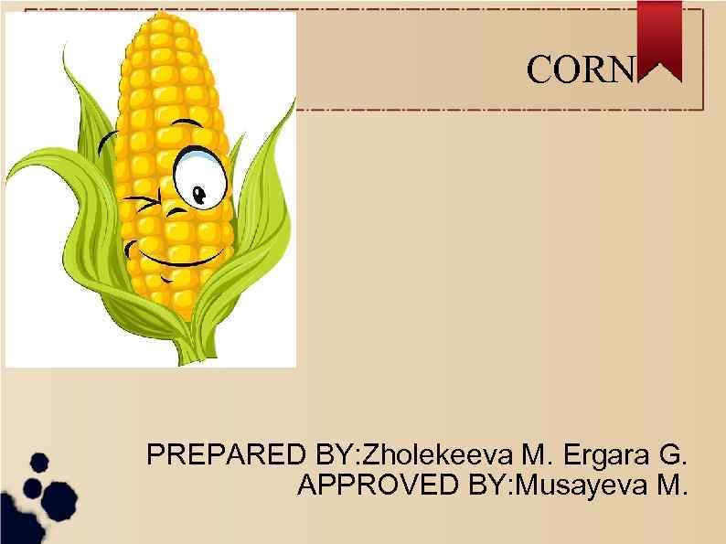 CORN PREPARED BY: Zholekeeva M. Ergara G. APPROVED BY: Musayeva M. 