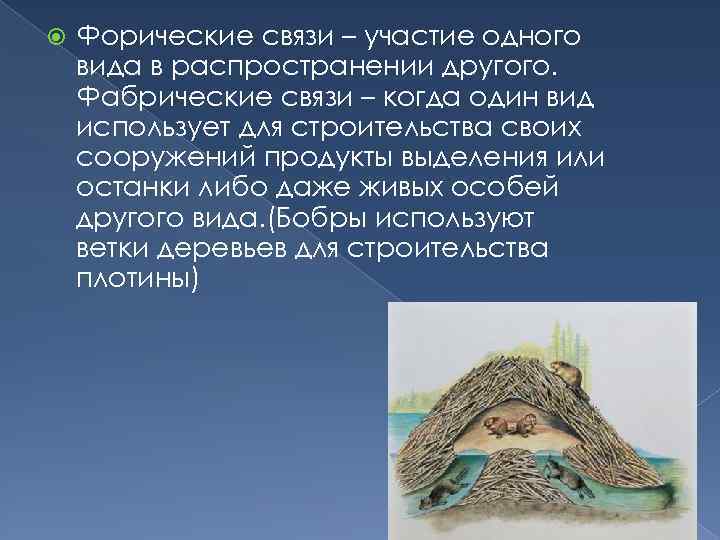  Форические связи – участие одного вида в распространении другого. Фабрические связи – когда