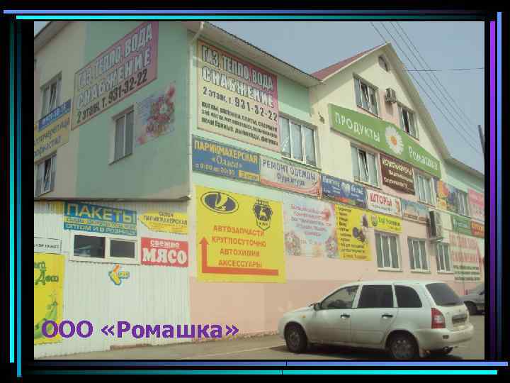 ООО «Ромашка» 