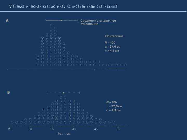 Математическая статистика: Описательная статистика 