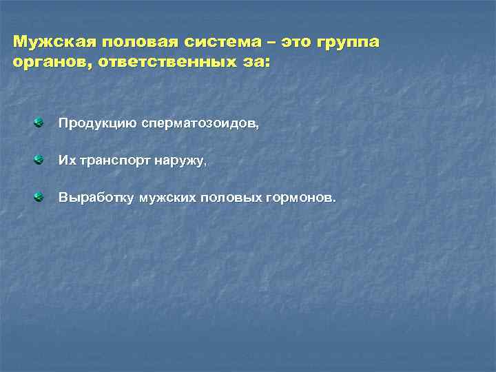 Мужская половая система – это группа органов, ответственных за: Продукцию сперматозоидов, Их транспорт наружу,